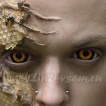 Склеральные линзы Lensmam Evil Ed Фото 4